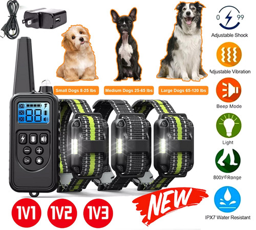 3000 dog training collar - dog, us